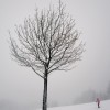 1_050_snow_experience_fieberbrunn_2015