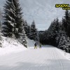 5_037_snow_experience_wildschonau_alpbachtal_2015 copy